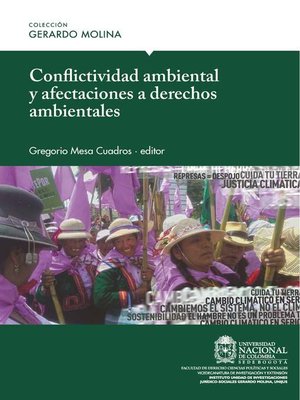 cover image of Conflictividad ambiental y afectaciones a derechos ambientales